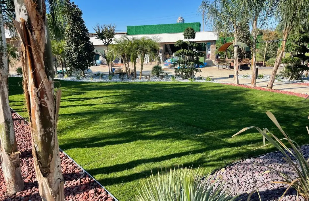 ayla-lim-restoran-paspalum-cim-uygulamasi