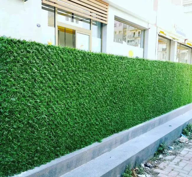 İzmir Çim Çit Yeşil Çim