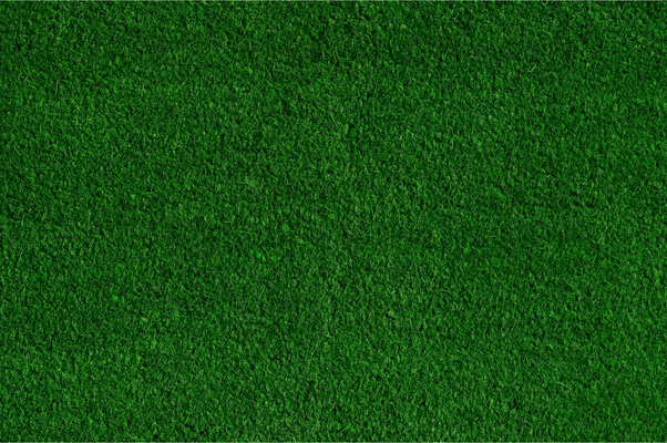 Paspalum Çim